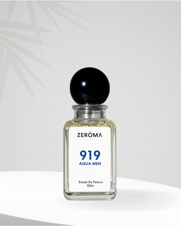 919 Aqua Men - ( Impression of 212 )
